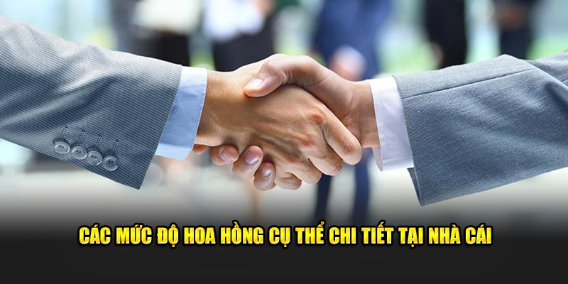 Các mức độ hoa hồng cụ thể chi tiết tại nhà cái